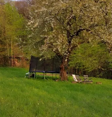 Im Park Wachwitzgrund - Grosse In Eg Der 公寓