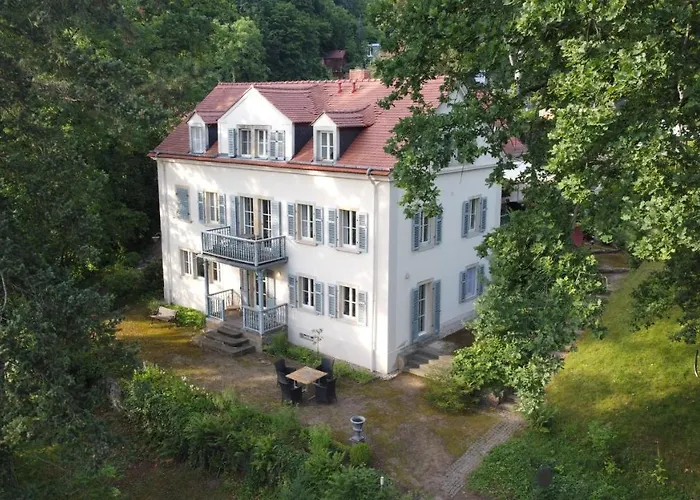 Im Park Wachwitzgrund - Grosse In Eg Der