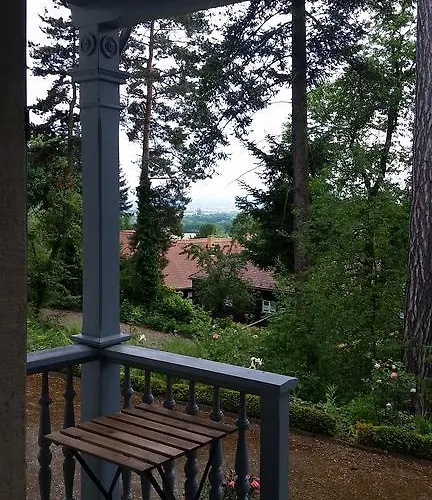 Im Park Wachwitzgrund - Grosse In Eg Der *