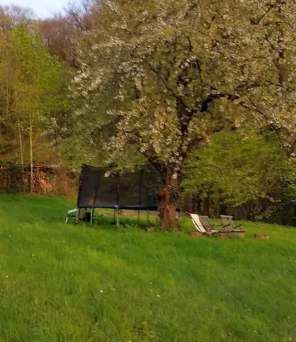 Im Park Wachwitzgrund - Grosse In Eg Der דירה