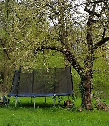 Im Park Wachwitzgrund - Grosse In Eg Der דירה