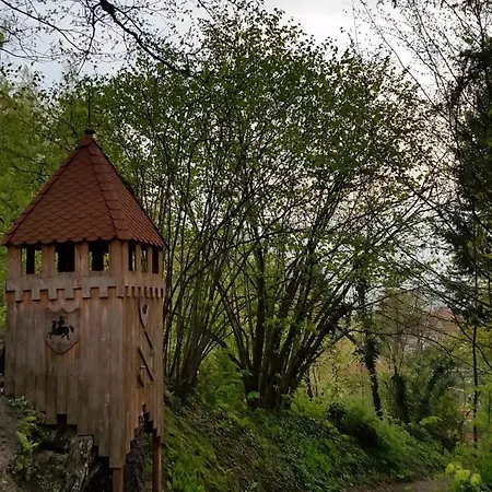 Im Park Wachwitzgrund - Grosse In Eg Der *